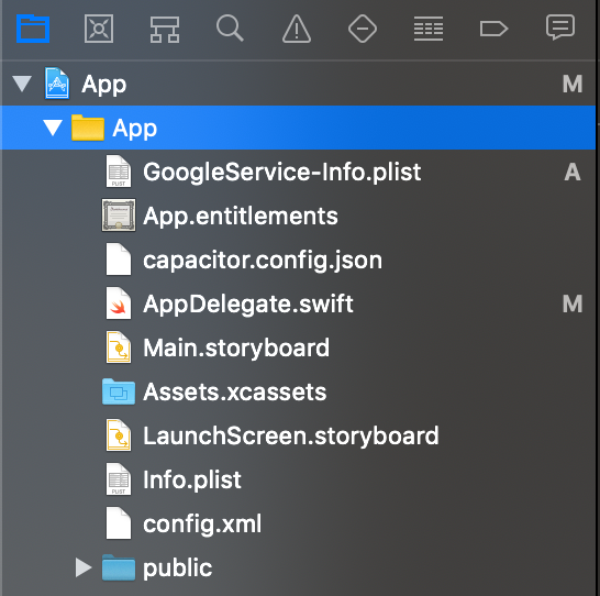 iOS 的 Google Service Info Plist 位置